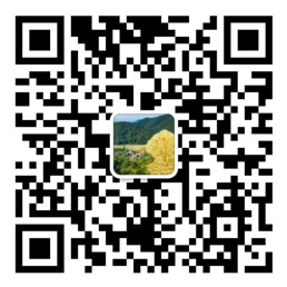 亚搏官方app